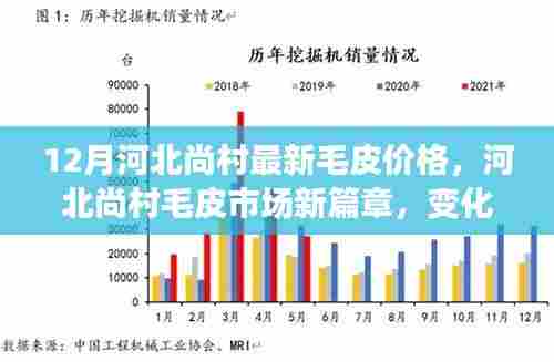 河北尚村毛皮市场最新动态,12月毛皮价格与市场新篇章的自信与成就之源