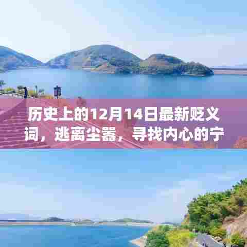 历史上的贬义词演变，逃离尘嚣，追寻心灵之旅的奇妙之旅日与今日新贬义词解析