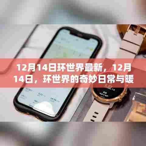 环世界奇妙日常与暖心友谊,最新更新报告(12月14日)