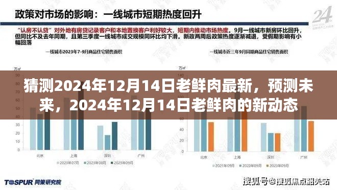 2024年12月14日老鲜肉新动态预测与未来展望