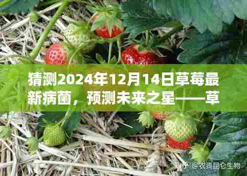 草莓最新病菌测评报告，预测未来趋势（草莓病菌研究，2024年预测报告）