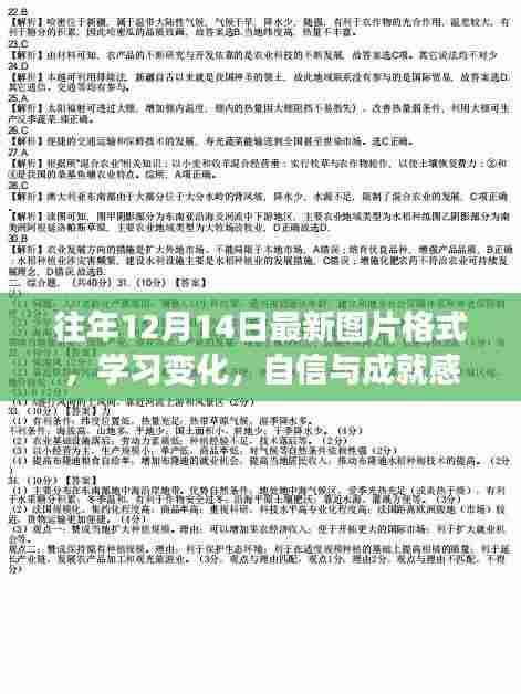 往年12月14日最新图片格式启示录，学习变化与自信成就感的源泉探索之路