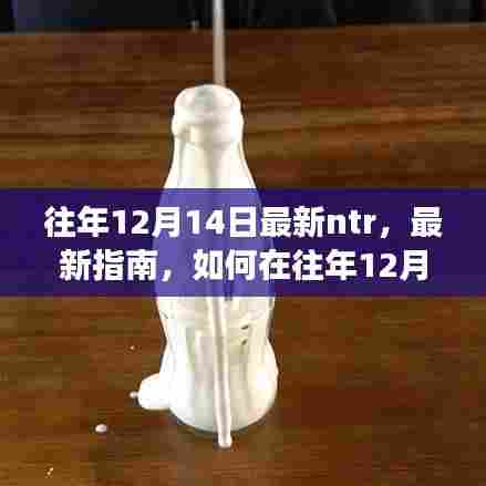 探索NTR角色游戏，往年12月14日的最新指南与体验攻略