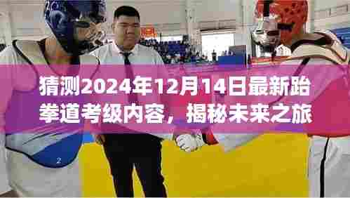揭秘未来跆拳道考级新动向，大自然与心灵的双重魅力探寻之旅，2024年最新预测