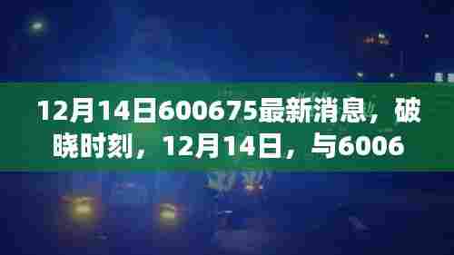 见证蜕变的力量,最新消息揭秘,与代码600675共度破晓时刻
