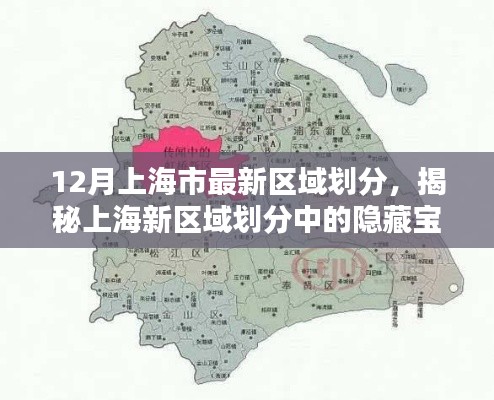 揭秘上海最新区域划分中的隐藏宝藏，小巷深处的特色小店，带你领略上海新风貌
