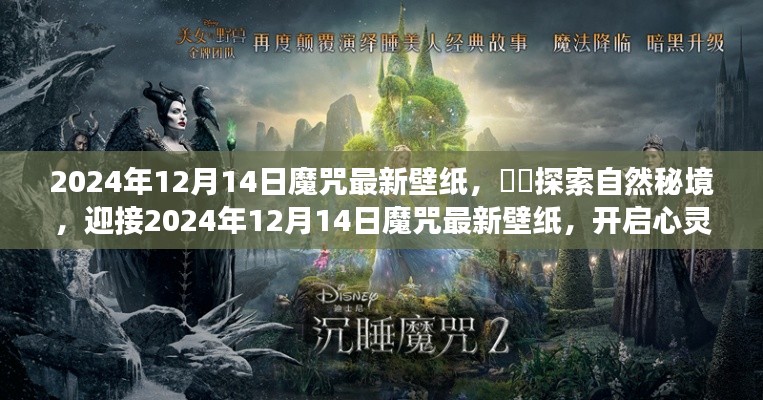 探索自然秘境,迎接最新魔咒壁纸,开启心灵之旅