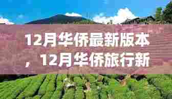 12月华侨旅行新风尚，与自然美景的不解之缘与艺术之旅的启程