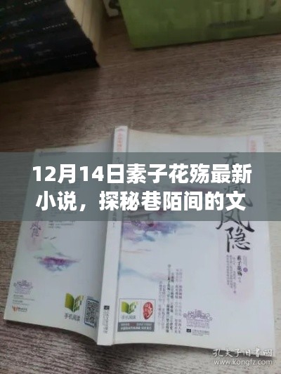 素子花殇最新小说探秘,巷陌间的文学秘境与背后的故事揭秘