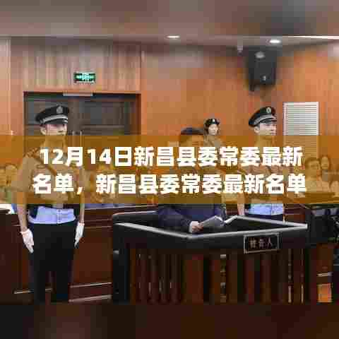 新昌县委常委最新名单公布，解读名单信息的初学者与进阶用户指南