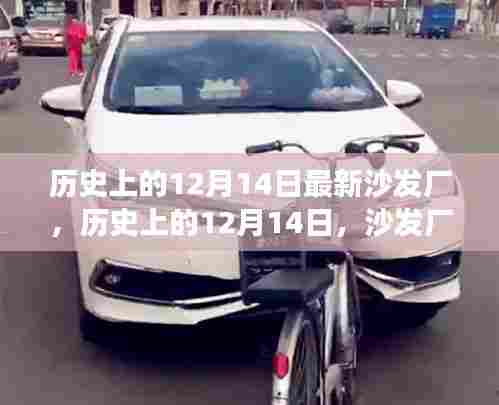 历史上的12月14日，沙发厂的绿色之旅与心灵觉醒的觉醒日