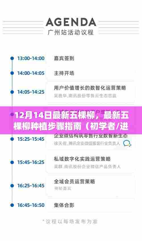 最新五棵柳种植步骤指南(适合初学者与进阶用户,12月14日更新)