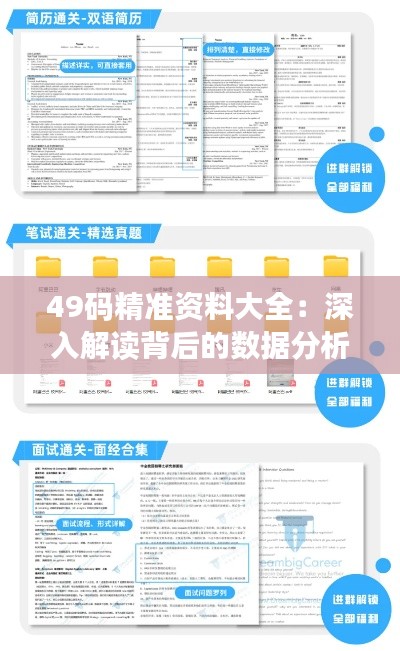 49码精准资料大全：深入解读背后的数据分析与市场洞察