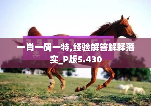 一肖一码一特,经验解答解释落实_P版5.430