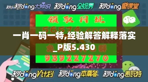 一肖一码一特,经验解答解释落实_P版5.430