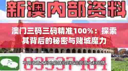 澳门三码三码精准100%:探索其背后的秘密与赌城魔力