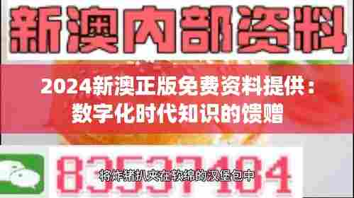 2024新澳正版免费资料提供:数字化时代知识的馈赠