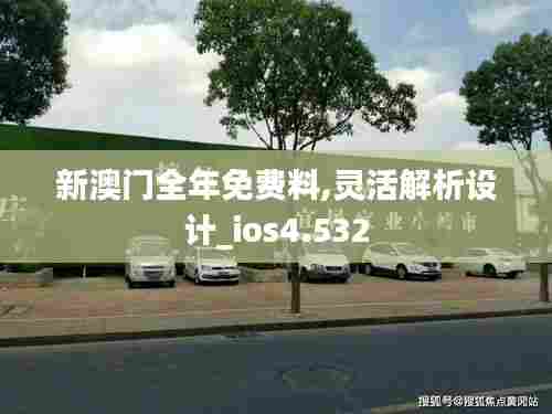 新澳门全年免费料,灵活解析设计_ios4.532