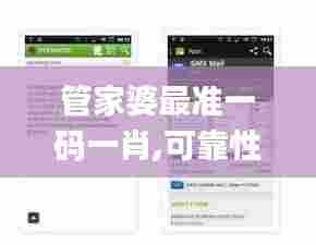 管家婆最准一码一肖,可靠性方案设计_android9.338