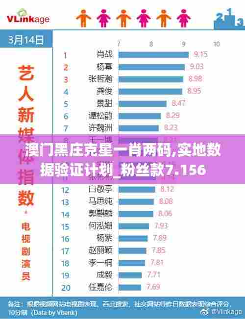 澳门黑庄克星一肖两码,实地数据验证计划_粉丝款7.156