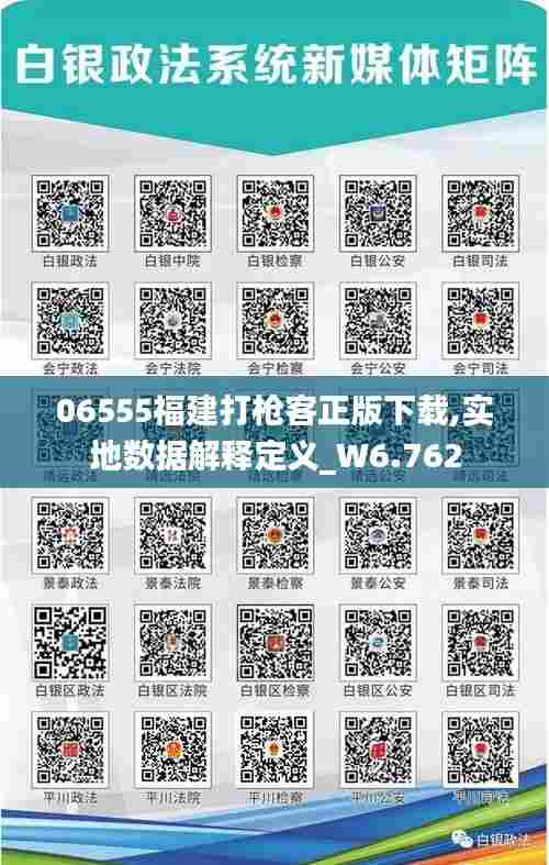 06555福建打枪客正版下载,实地数据解释定义_W6.762
