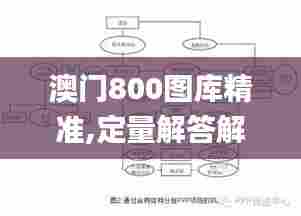 澳门800图库精准,定量解答解释定义_增强版3.465