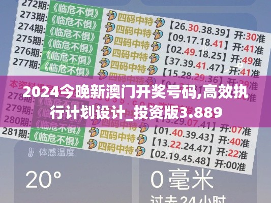 2024今晚新澳门开奖号码,高效执行计划设计_投资版3.889