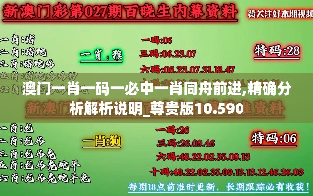 澳门一肖一码一必中一肖同舟前进,精确分析解析说明_尊贵版10.590