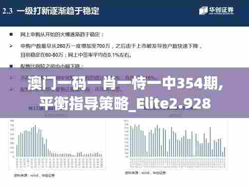 澳门一码一肖一恃一中354期,平衡指导策略_Elite2.928