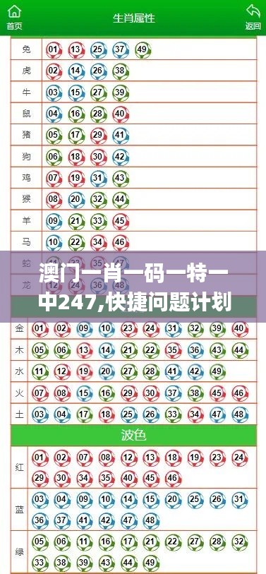 澳门一肖一码一特一中247,快捷问题计划设计_P版2.968