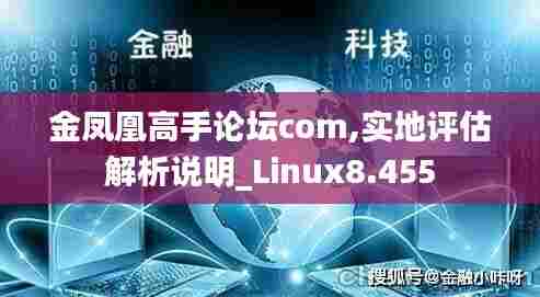 金凤凰高手论坛com,实地评估解析说明_Linux8.455