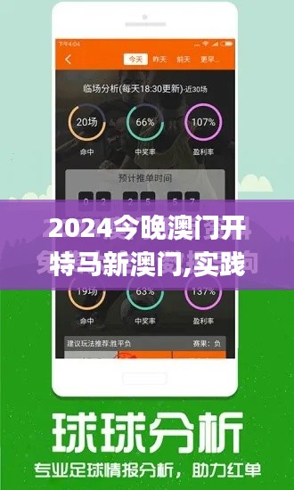 2024今晚澳门开特马新澳门,实践数据解释定义_Holo2.466
