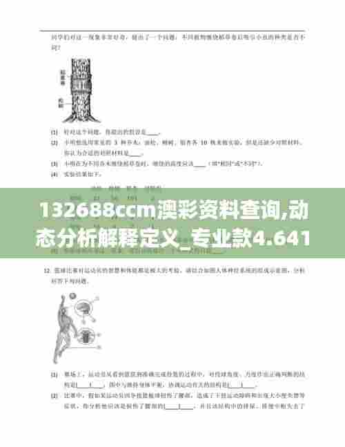 132688ccm澳彩资料查询,动态分析解释定义_专业款4.641