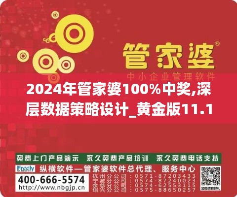 2024年管家婆100%中奖,深层数据策略设计_黄金版11.141