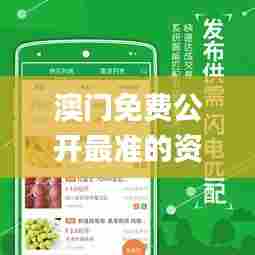 澳门免费公开最准的资料,实地应用验证数据_模拟版5.372