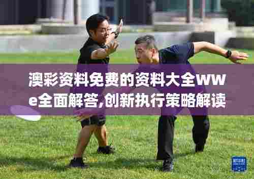 澳彩资料免费的资料大全WWe全面解答,创新执行策略解读_Surface1.538