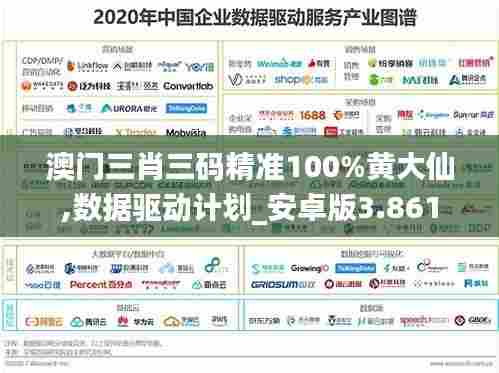 澳门三肖三码精准100%黄大仙,数据驱动计划_安卓版3.861