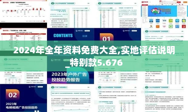 2024年全年资料免费大全,实地评估说明_特别款5.676