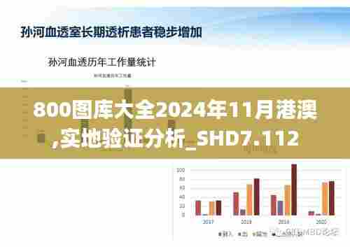 800图库大全2024年11月港澳,实地验证分析_SHD7.112