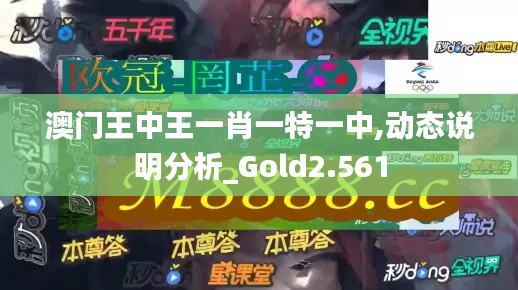 澳门王中王一肖一特一中,动态说明分析_Gold2.561