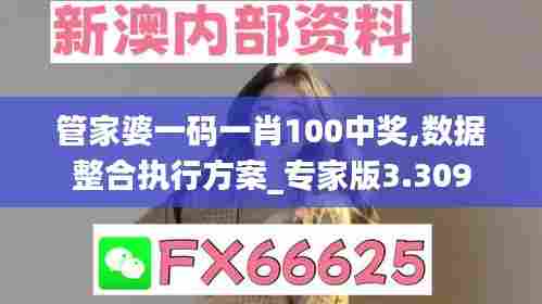 管家婆一码一肖100中奖,数据整合执行方案_专家版3.309