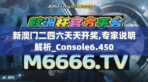 新澳门二四六天天开奖,专家说明解析_Console6.450