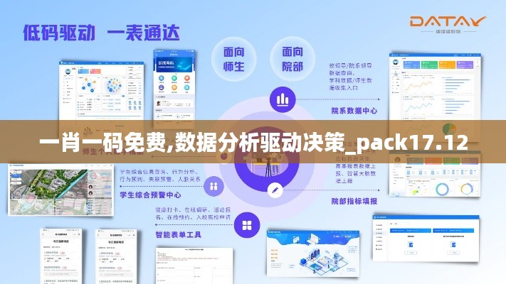 一肖一码免费,数据分析驱动决策_pack17.120