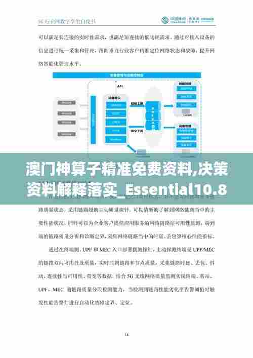澳门神算子精准免费资料,决策资料解释落实_Essential10.879