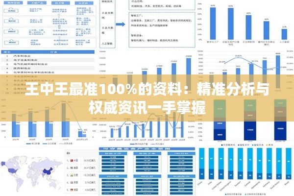 王中王最准100%的资料：精准分析与权威资讯一手掌握