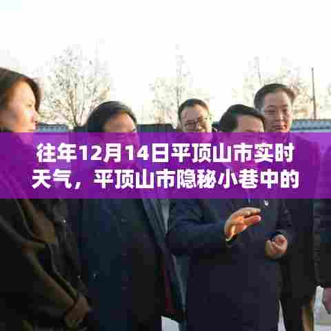 平顶山市隐秘小巷特色小店与历年12月14日实时天气揭秘