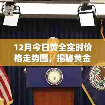 揭秘黄金走势,12月最新黄金实时价格走势图深度解析及今日黄金价格走势图