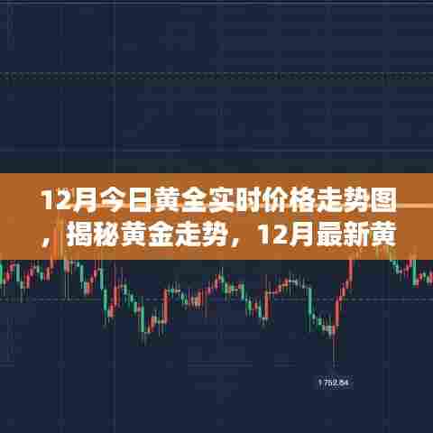 揭秘黄金走势,12月最新黄金实时价格走势图深度解析及今日黄金价格走势图
