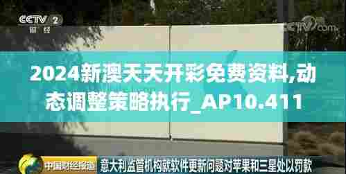 2024新澳天天开彩免费资料,动态调整策略执行_AP10.411