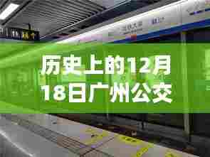 凤鸟不至 第5页